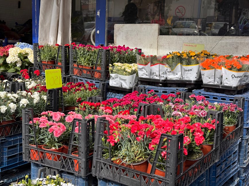 A display of various potted plants and flowers arranged on a bench within an indoor conservatory structure. The plants include green foliage and flowering varieties in shades of pink, purple, and lave